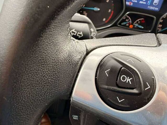 Ford C-Max C-Max 2.0 TDCi Automatik Titanium